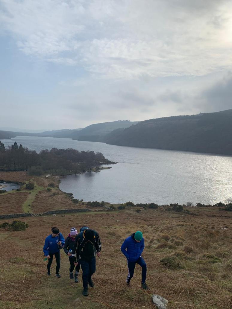 0e1f9bd9-c378-4e43-abe9-5f2b158a3dd1